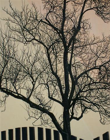 S7301977a (Small) (3).jpg
