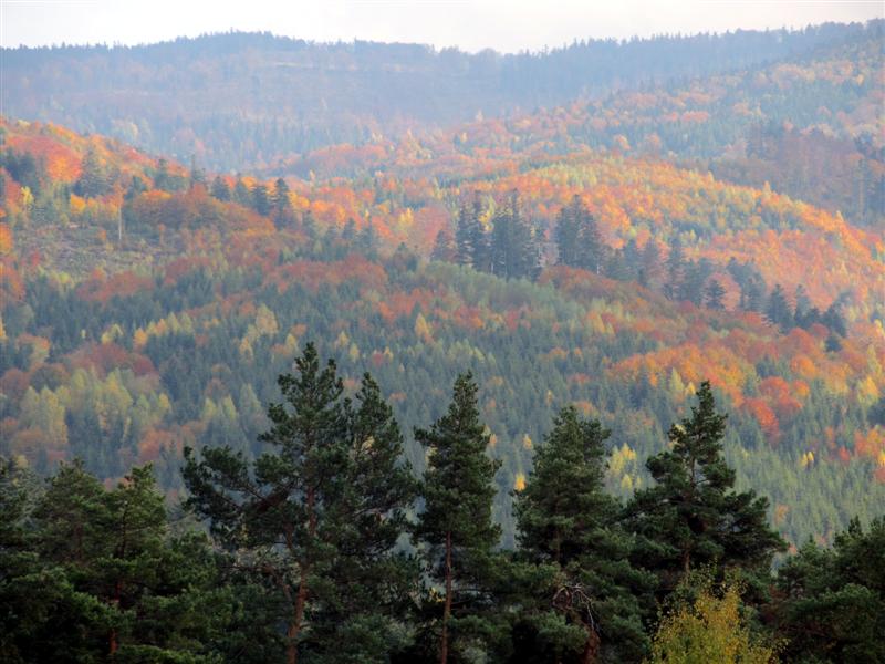 Obrázok 216a (Medium)