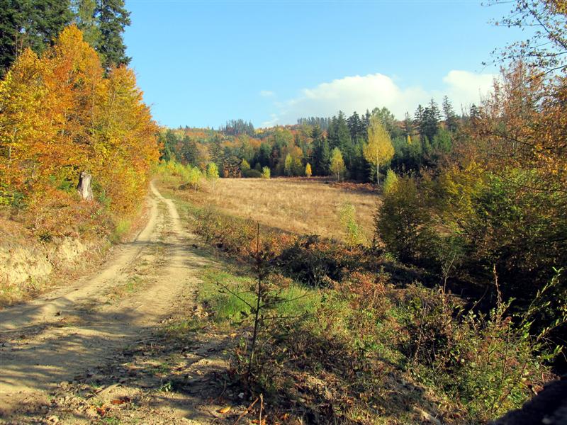 Obrázok 222a (Medium)