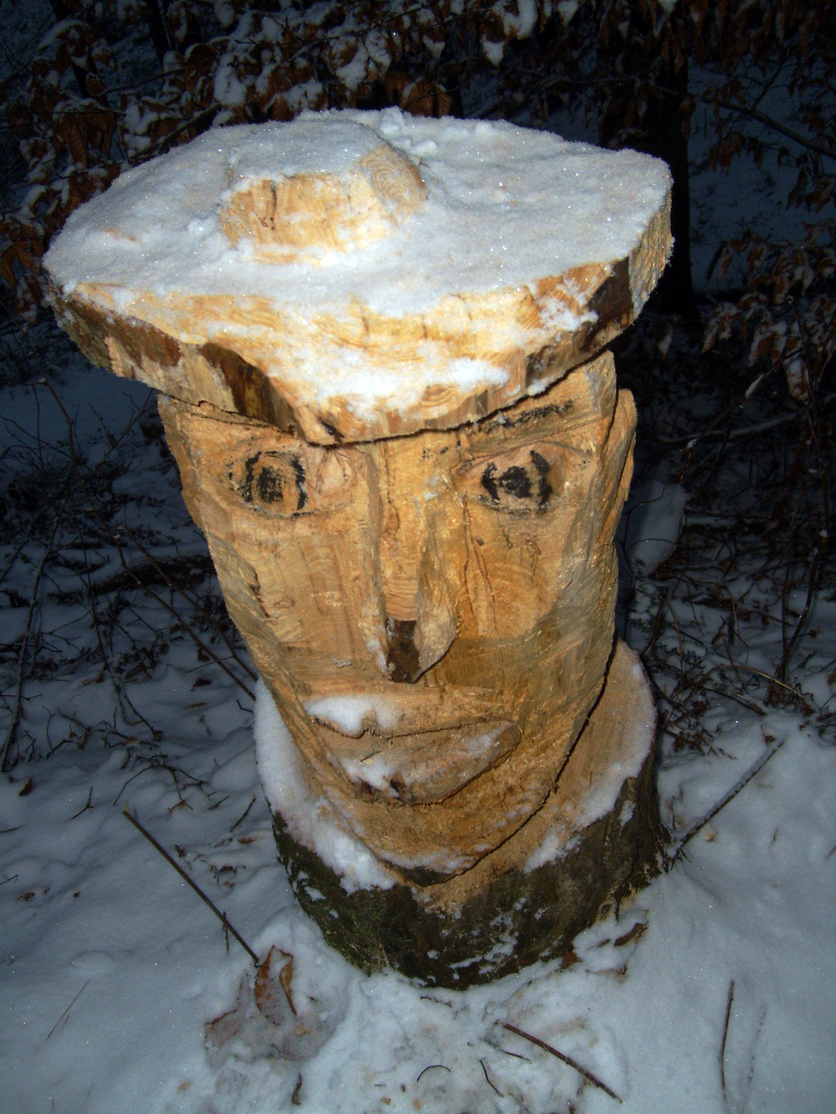 S7302144a.jpg